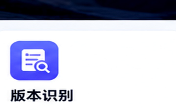 版本识别